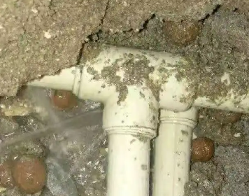 加查测漏水多少钱