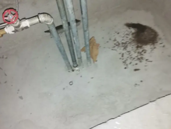 加查卫生间测漏水价格明细